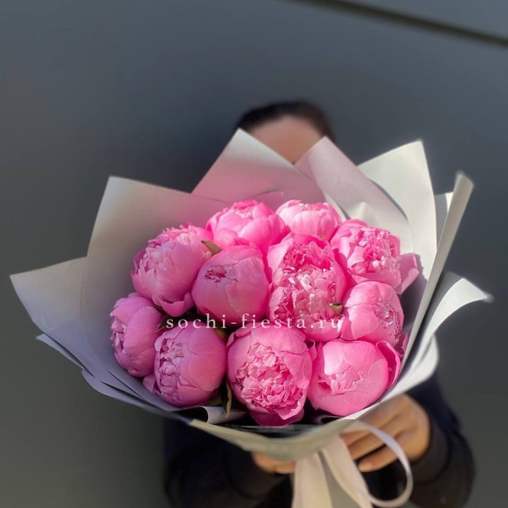 Пионы Алекс флеминг в Череповеце