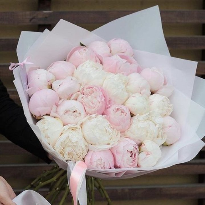 29 пионов в Череповеце