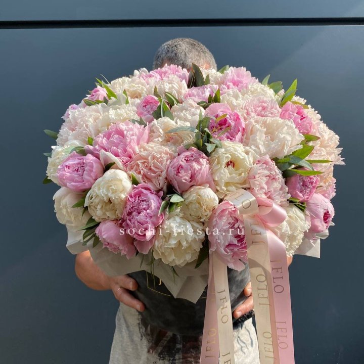 51 пионов в боксе в Череповеце