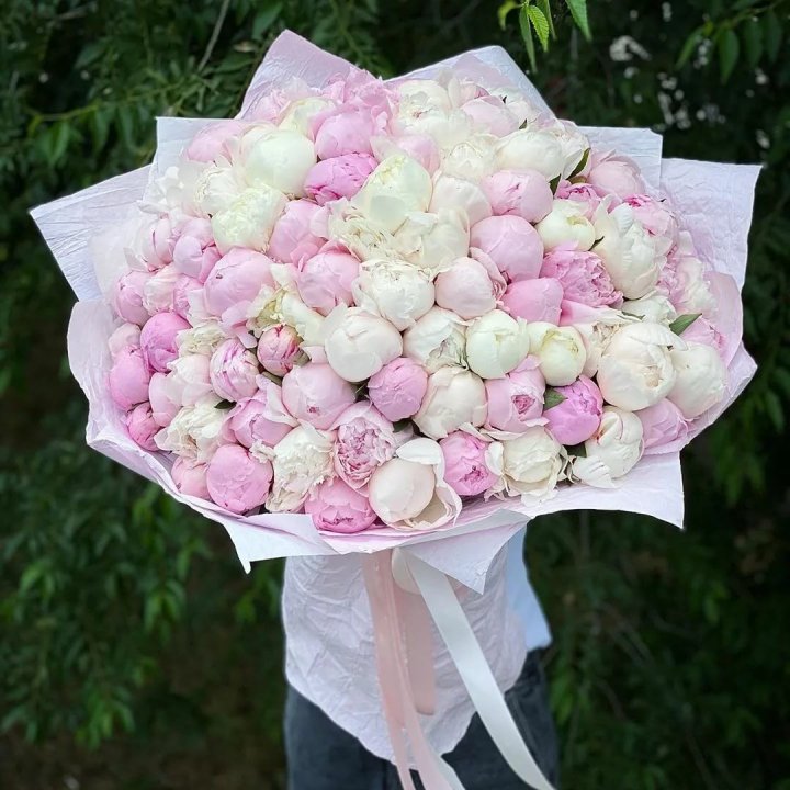 101 пион в Череповеце