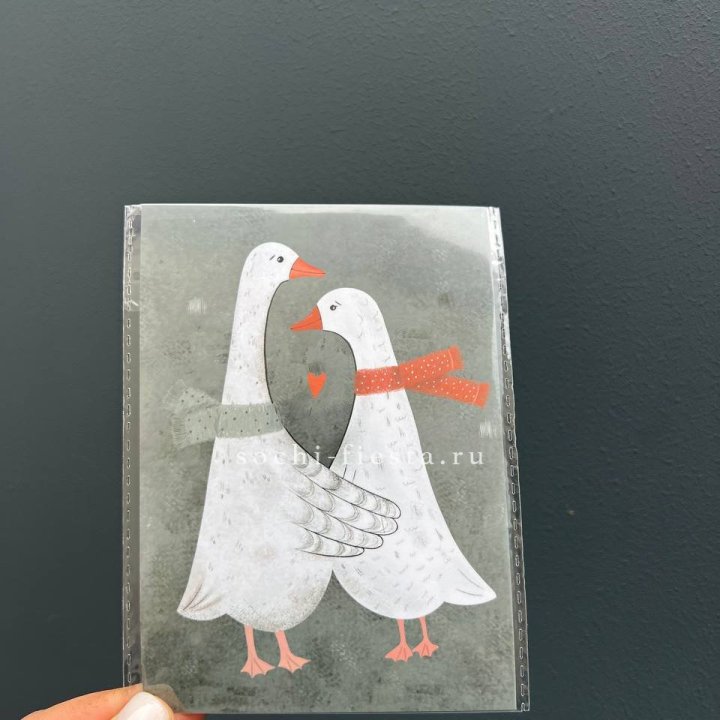 Открытка к букету "Гуси” в Череповеце