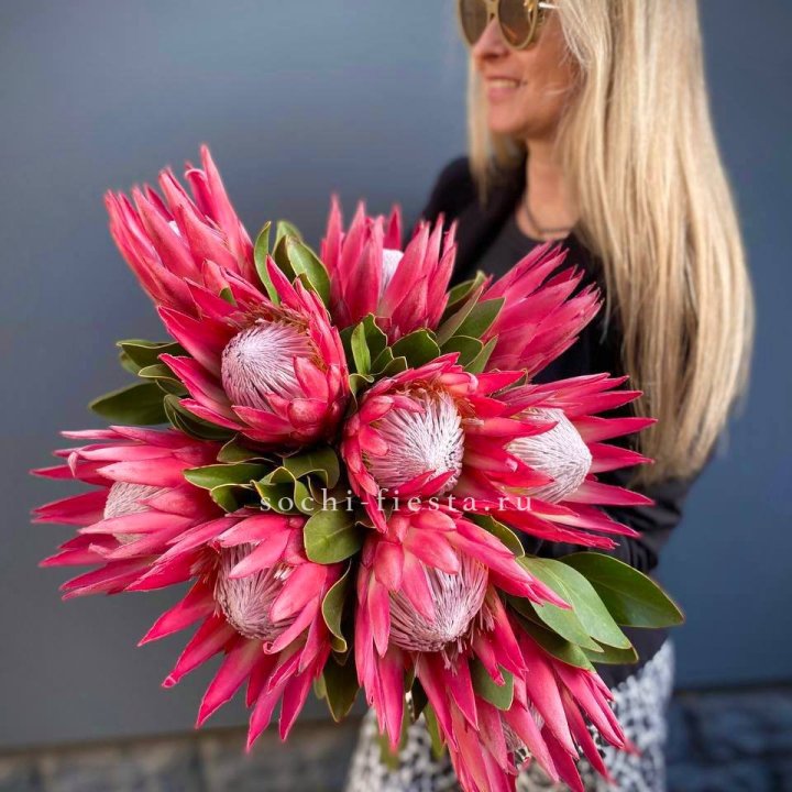 Протея штучно в Череповеце