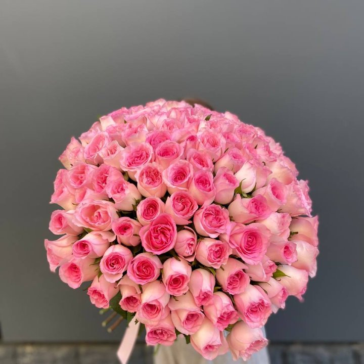 101 розовая роза в Череповеце