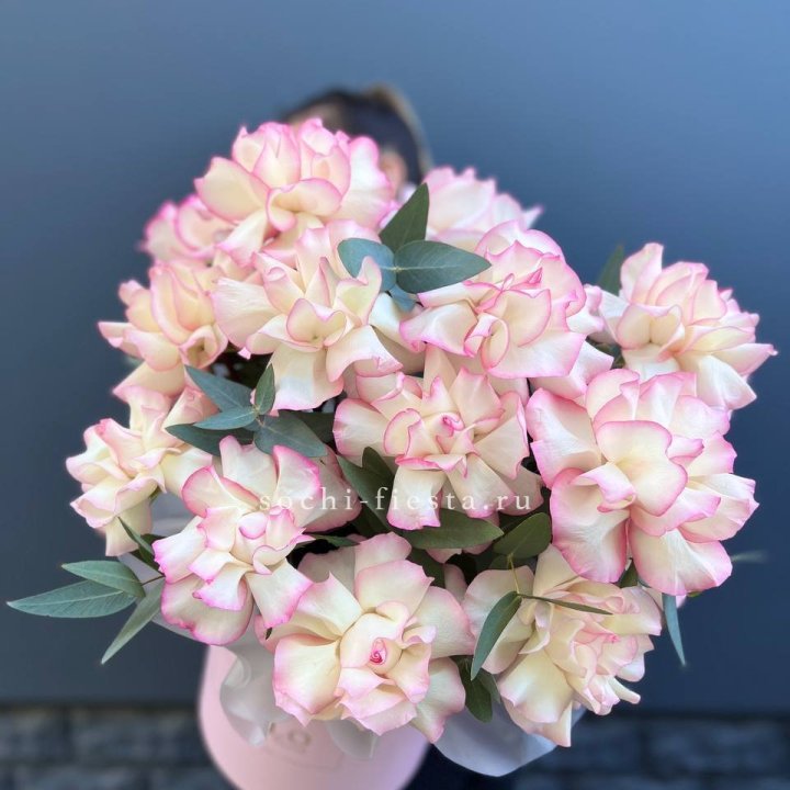 15 Французских роз Джумилия в боксе в Череповеце