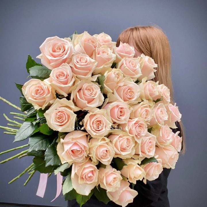 35 кремовых высоких роз в Череповеце