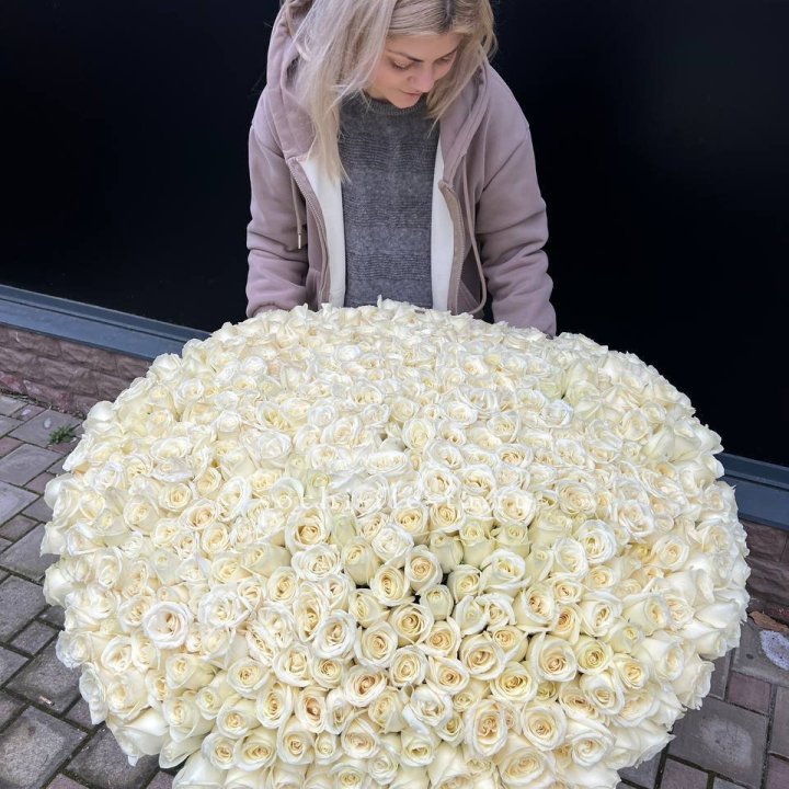 501 белая роза в корзине в Череповеце