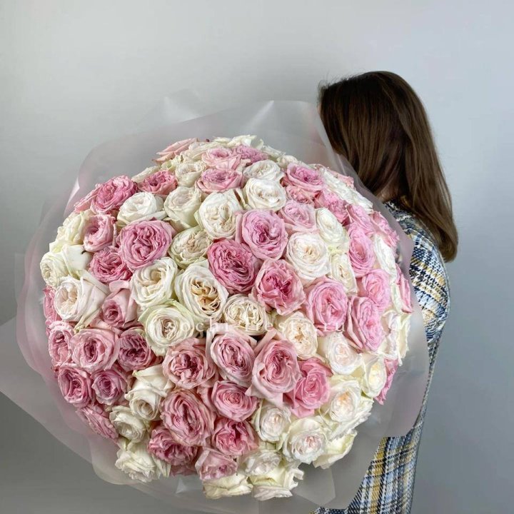 101 роз Охара в Череповеце