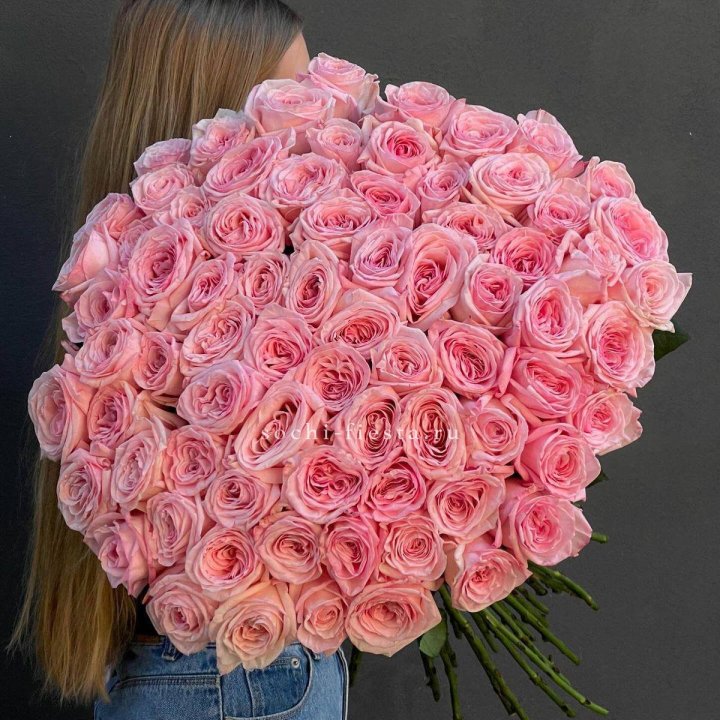 75 роз Охара в Череповеце