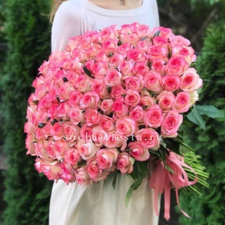 101  джумилия роза  в Череповеце