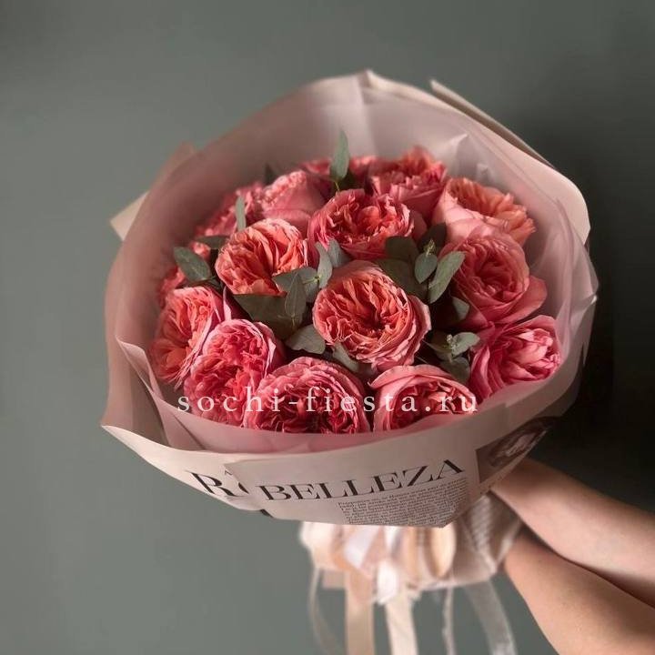 15 Пинк экспрешен в Череповеце