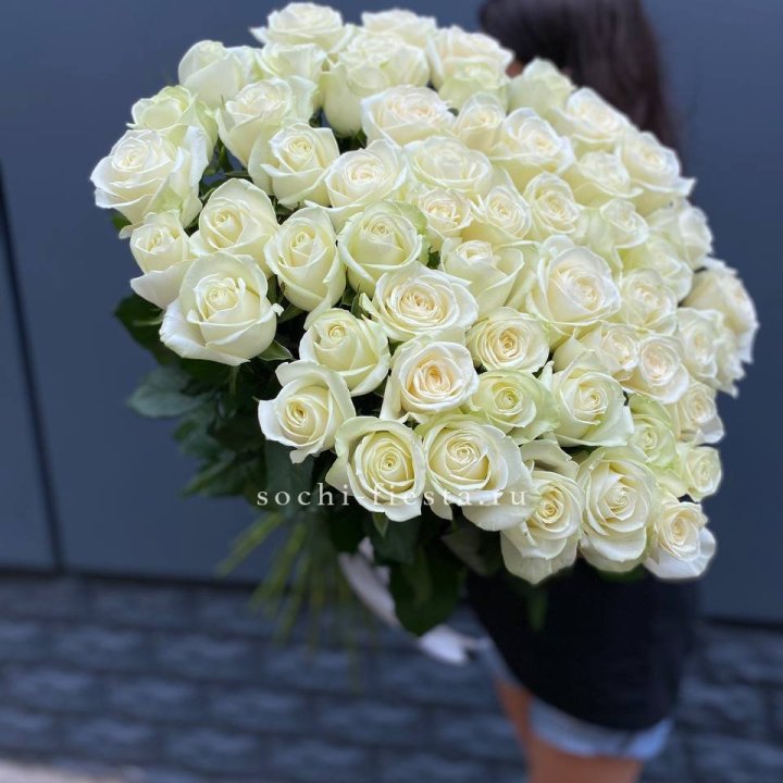 51 белоснежная высокая роза в Череповеце