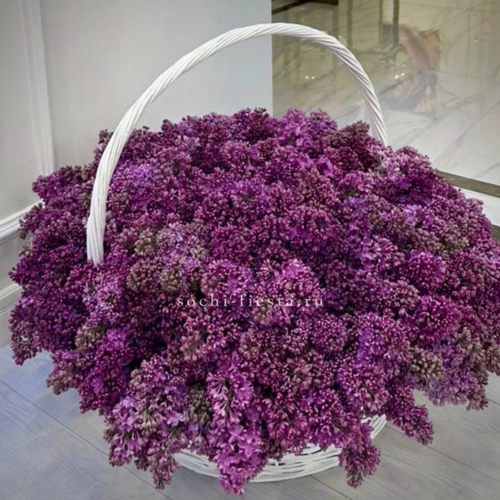 Корзина сирени в Череповеце