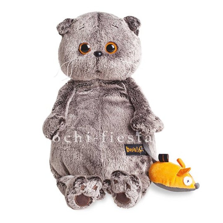 Кот Басик с мышкой в Череповеце