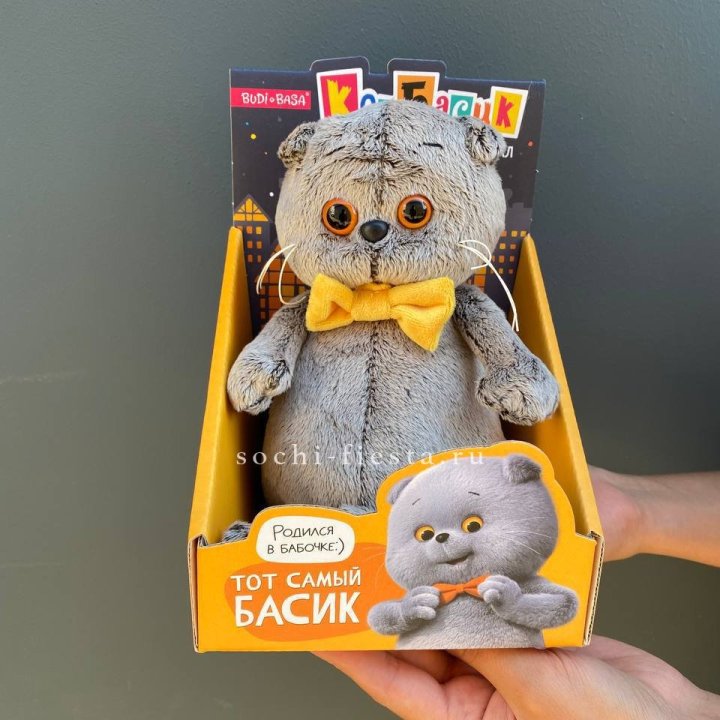 Кот Басик с бабочкой в Череповеце