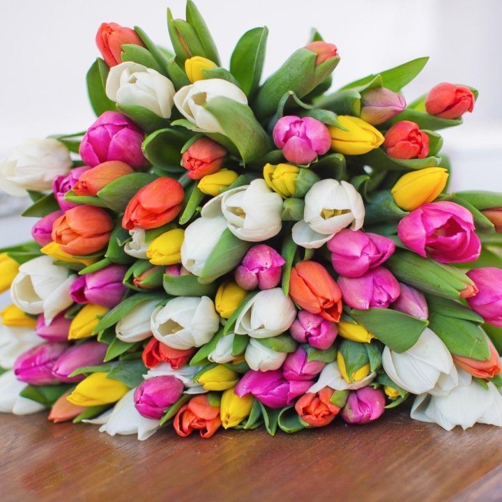 79 тюльпанов "Рандом" в Череповеце