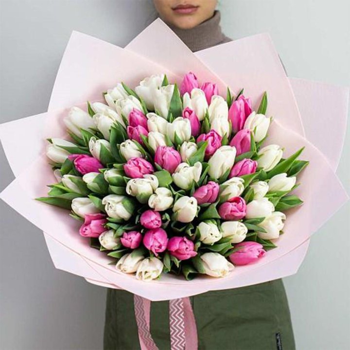 61 бело-розовый тюльпан в Череповеце