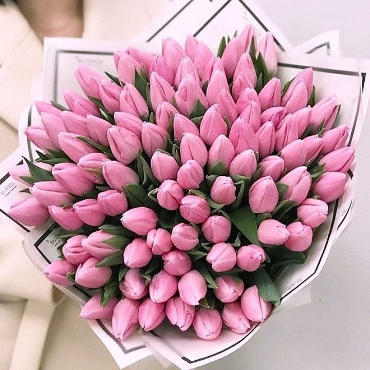 101 розовый тюльпан в белом в Череповеце