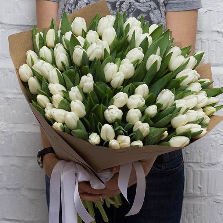 101 тюльпан сноу в Череповеце