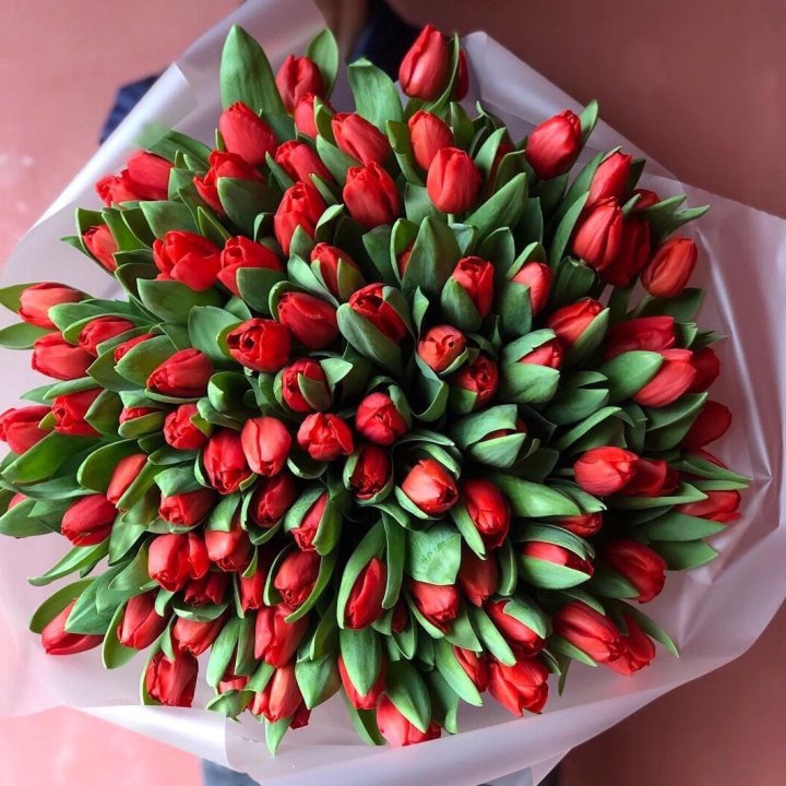 101 красный тюльпан в Череповеце